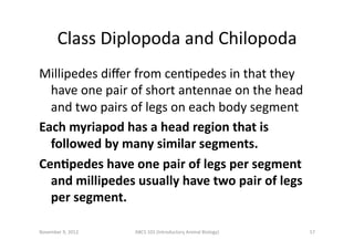 Class	
  Diplopoda	
  and	
  Chilopoda	
  
Millipedes	
  diﬀer	
  from	
  cenEpedes	
  in	
  that	
  they	
  
have	
  one	...