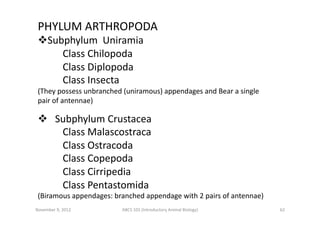 PHYLUM	
  ARTHROPODA	
  
 Subphylum	
  	
  Uniramia
	
  	
  	
  	
  	
  	
  	
  	
  	
  	
  Class	
  Chilopoda	
  
	
  	
...