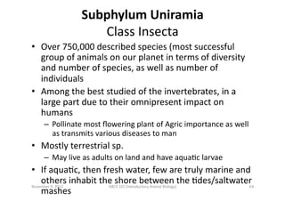 Subphylum	
  Uniramia	
  	
  
Class	
  Insecta	
  
•  Over	
  750,000	
  described	
  species	
  (most	
  successful	
  
g...