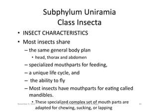 Subphylum	
  Uniramia	
  	
  
Class	
  Insecta	
  
•  INSECT	
  CHARACTERISTICS	
  	
  	
  
•  Most	
  insects	
  share	
 ...