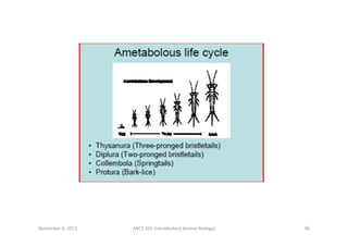 November	
  9,	
  2012	
  

ABCS	
  101	
  (Introductory	
  Animal	
  Biology)	
  

96	
  

 