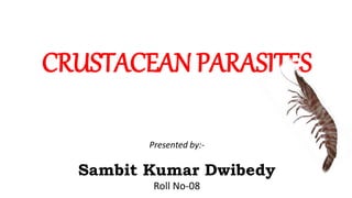 CRUSTACEAN PARASITES
Presented by:-
Sambit Kumar Dwibedy
Roll No-08
 