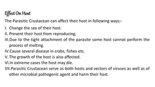 Effect On Host
The Parasitic Crustacean can affect their host in following ways:-
I. Change the sex of their host.
II. Prevent their host from reproducing.
III.Due to the tight attachment of the parasite some host cannot perform the
process of molting.
IV.Cause several disease in crabs, fishes etc.
V.The growth of the host is also affected.
VI.In extreme cases the host may die.
VII.Parasitic Crustacean serve as both hosts and vectors of viruses as well as of
other microbial pathogenic agent and harm their host.
 