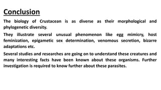 Conclusion
The biology of Crustacean is as diverse as their morphological and
phylogenetic diversity.
They illustrate several unusual phenomenon like egg mimicry, host
feminization, epigametic sex determination, venomous secretion, bizarre
adaptations etc.
Several studies and researches are going on to understand these creatures and
many interesting facts have been known about these organisms. Further
investigation is required to know further about these parasites.
 