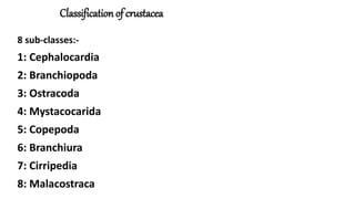 Classification of crustacea
8 sub-classes:-
1: Cephalocardia
2: Branchiopoda
3: Ostracoda
4: Mystacocarida
5: Copepoda
6: Branchiura
7: Cirripedia
8: Malacostraca
 