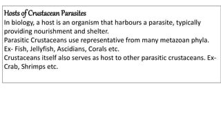 Hosts of Crustacean Parasites
In biology, a host is an organism that harbours a parasite, typically
providing nourishment and shelter.
Parasitic Crustaceans use representative from many metazoan phyla.
Ex- Fish, Jellyfish, Ascidians, Corals etc.
Crustaceans itself also serves as host to other parasitic crustaceans. Ex-
Crab, Shrimps etc.
 