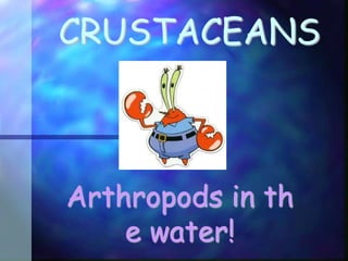 CRUSTACEANS
Arthropods in th
e water!
 
