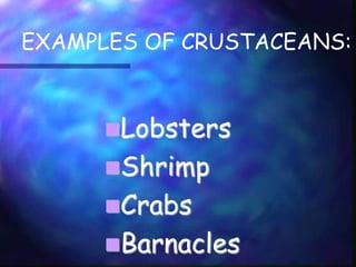 Crustaceans[1] | PPTX