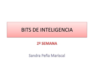 BITS DE INTELIGENCIA 2ª SEMANA Sandra Peña Mariscal 