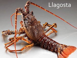 Llagosta 