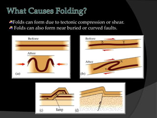 Folds can form due to tectonic compression or shear.
Folds can also form near buried or curved faults.
 