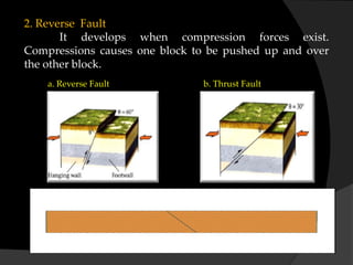 2. Reverse Fault
It develops when compression forces exist.
Compressions causes one block to be pushed up and over
the other block.
a. Reverse Fault b. Thrust Fault
 