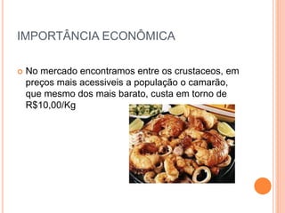 IMPORTÂNCIA ECONÔMICA
 No mercado encontramos entre os crustaceos, em
preços mais acessiveis a população o camarão,
que mesmo dos mais barato, custa em torno de
R$10,00/Kg
 