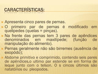 CARACTERÍSTICAS:

 Apresenta cinco pares de pernas.
 O primeiro par de pernas é modificado em
  quelipedes (quelas = pinças).
 Na frente das pernas tem 3 pares de apêndices
  denominados em maxilípede; (função de
  manipulação do alimento).
 Pernas geralmente não são birremes (ausência de
  exopódo);
 Abdome primitivo e comprimido, contendo seis pares
  de apêndices,o ultimo par estende se em forma de
  leque junto com o telson. O s cincos últimos são
  natatórios ou pleopodos.
 