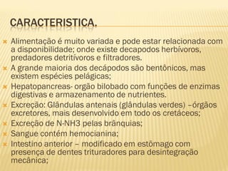 CARACTERISTICA.
   Alimentação é muito variada e pode estar relacionada com
    a disponibilidade; onde existe decapodos herbívoros,
    predadores detritívoros e filtradores.
   A grande maioria dos decápodos são bentônicos, mas
    existem espécies pelágicas;
   Hepatopancreas- orgão bilobado com funções de enzimas
    digestivas e armazenamento de nutrientes.
   Excreção: Glândulas antenais (glândulas verdes) –órgãos
    excretores, mais desenvolvido em todo os cretáceos;
   Excreção de N-NH3 pelas brânquias;
   Sangue contém hemocianina;
   Intestino anterior – modificado em estômago com
    presença de dentes trituradores para desintegração
    mecânica;
 