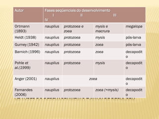 Autor            Fases seqüenciais do desenvolvimento
                     I               II               III
                 IV
Ortmann          nauplius   protozoea e      mysis e        megalopa
(1893)                      zoea             macrura
Heldt (1938)     nauplius   protozoea        mysis          pós-larva
Gurney (1942)    nauplius   protozoea        zoea           pós-larva
Barnich (1996)   nauplius   protozoea        zoea           decapodit
                                                            o
Pohle et         nauplius   protozoea        mysis          decapodit
al.(1999)                                                   o

Anger (2001)     nauplius                 zoea              decapodit
                                                            o
TABELA: NOMENCLATURA UTILIZADA POR ALGUNS AUTORES
Fernandes
PARA        nauplius protozoea  zoea (=mysis) decapodit
(2006)                                        o
AS FASES DO DESENVOLVIMENTO LARVAR DE DECAPODA
 