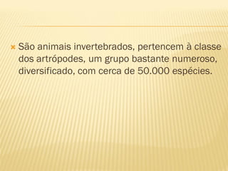    São animais invertebrados, pertencem à classe
    dos artrópodes, um grupo bastante numeroso,
    diversificado, com cerca de 50.000 espécies.
 