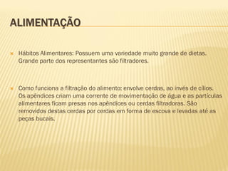 ALIMENTAÇÃO

   Hábitos Alimentares: Possuem uma variedade muito grande de dietas.
    Grande parte dos representantes são filtradores.



   Como funciona a filtração do alimento: envolve cerdas, ao invés de cílios.
    Os apêndices criam uma corrente de movimentação de água e as partículas
    alimentares ficam presas nos apêndices ou cerdas filtradoras. São
    removidos destas cerdas por cerdas em forma de escova e levadas até as
    peças bucais.
 