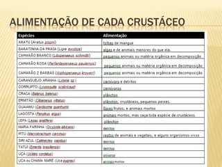 ALIMENTAÇÃO DE CADA CRUSTÁCEO
 