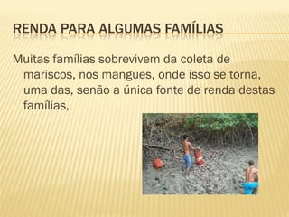 RENDA PARA ALGUMAS FAMÍLIAS

Muitas famílias sobrevivem da coleta de
 mariscos, nos mangues, onde isso se torna,
 uma das, senão a única fonte de renda destas
 famílias,
 
