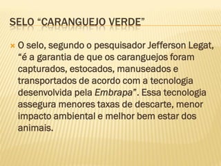 SELO “CARANGUEJO VERDE”

   O selo, segundo o pesquisador Jefferson Legat,
    “é a garantia de que os caranguejos foram
    capturados, estocados, manuseados e
    transportados de acordo com a tecnologia
    desenvolvida pela Embrapa”. Essa tecnologia
    assegura menores taxas de descarte, menor
    impacto ambiental e melhor bem estar dos
    animais.
 