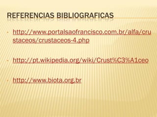 REFERENCIAS BIBLIOGRAFICAS

•   http://www.portalsaofrancisco.com.br/alfa/cru
    staceos/crustaceos-4.php

•   http://pt.wikipedia.org/wiki/Crust%C3%A1ceo

•   http://www.biota.org.br
 