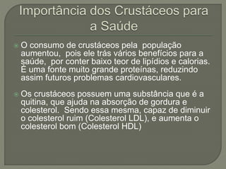  O consumo de crustáceos pela população
aumentou, pois ele trás vários benefícios para a
saúde, por conter baixo teor de lipídios e calorias.
É uma fonte muito grande proteínas, reduzindo
assim futuros problemas cardiovasculares.
 Os crustáceos possuem uma substância que é a
quitina, que ajuda na absorção de gordura e
colesterol. Sendo essa mesma, capaz de diminuir
o colesterol ruim (Colesterol LDL), e aumenta o
colesterol bom (Colesterol HDL)
 