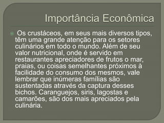  Os crustáceos, em seus mais diversos tipos,
têm uma grande atenção para os setores
culinários em todo o mundo. Além de seu
valor nutricional, onde é servido em
restaurantes apreciadores de frutos o mar,
praias, ou coisas semelhantes próximos à
facilidade do consumo dos mesmos, vale
lembrar que inúmeras famílias são
sustentadas através da captura desses
bichos. Caranguejos, siris, lagostas e
camarões, são dos mais apreciados pela
culinária.
 