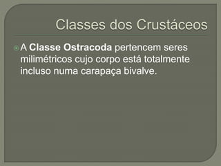 A Classe Ostracoda pertencem seres
milimétricos cujo corpo está totalmente
incluso numa carapaça bivalve.
 