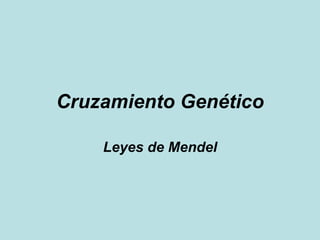 Cruzamiento Genético Leyes de Mendel 
