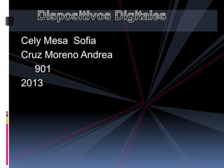 Cely Mesa Sofia
Cruz Moreno Andrea
901
2013
 