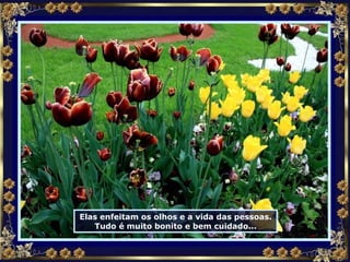 Elas enfeitam os olhos e a vida das pessoas. Tudo é muito bonito e bem cuidado... 