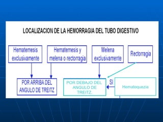 Hematoquezia POR DEBAJO DEL  ANGULO DE TREITZ. 