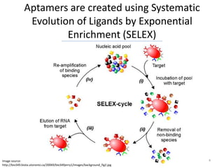 Aptamers are created using Systematic
                Evolution of Ligands by Exponential
                        Enrichment (SELEX)




Image source:                                                                   4
http://bio349.biota.utoronto.ca/20069/bio349jerry1/images/background_fig2.jpg
 