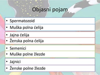 Objasni pojam
• Spermatozoid
• Jajna ćelija
• Semenici
• Jajnici
• Muška polna ćelija
• Ženska polna ćelija
• Muške polne žlezde
• Ženske polne žlezde
 