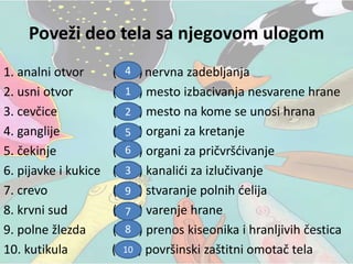 Poveži deo tela sa njegovom ulogom
1. analni otvor ( )nervna zadebljanja
2. usni otvor ( ) mesto izbacivanja nesvarene hrane
3. cevčice ( ) mesto na kome se unosi hrana
4. ganglije ( ) organi za kretanje
5. čekinje ( ) organi za pričvršćivanje
6. pijavke i kukice ( ) kanalići za izlučivanje
7. crevo ( ) stvaranje polnih ćelija
8. krvni sud ( ) varenje hrane
9. polne žlezda ( ) prenos kiseonika i hranljivih čestica
10. kutikula ( ) površinski zaštitni omotač tela
1
2
3
4
5
6
7
8
9
10
 
