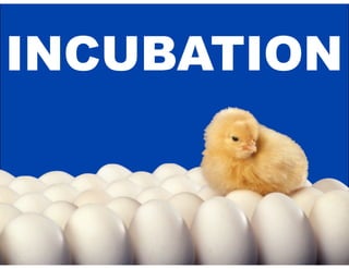 INCUBATION
 