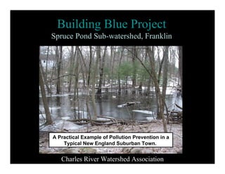 Building Blue Project
Spruce Pond Sub-watershed, Franklin




A Practical Example of Pollution Prevention in a
    Typical New England Suburban Town.


   Charles River Watershed Association
 