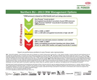 Northern BU—2013 CRW Management Options
                                       *CRW pressure is based on 2012 beetle and root ratings observations




                          Report any performance problems to your Pioneer sales representative.
AM1 - Optimum® AcreMax® 1 Insect Protection System with an integrated corn rootworm refuge solution includes HXX, LL, RR2. Optimum AcreMax 1 products contain the LibertyLink® gene and can
be sprayed with Liberty® herbicide. The required corn borer refuge can be planted up to half a mile away. AM - Optimum® AcreMax® Insect Protection system with YGCB, HX1, LL, RR2. Contains a
single-bag integrated refuge solution for above-ground insects. In EPA-designated cotton growing counties, a 20% separate corn borer refuge must be planted with Optimum AcreMax products. AMX -
Optimum® AcreMax® Xtra Insect Protection system with YGCB, HXX, LL, RR2. Contains a single-bag integrated refuge solution for above- and below-ground insects. In EPA-designated cotton growing
counties, a 20% separate corn borer refuge must be planted with Optimum AcreMax Xtra products. AMXT - (Optimum® AcreMax® XTreme) - Contains a single-bag integrated refuge solution for above-
and below-ground insects. The major component contains the Agrisure® RW trait, the YieldGard® Corn Borer gene, and the Herculex® XTRA genes. In EPA-designated cotton growing counties, a 20%
separate corn borer refuge must be planted with Optimum AcreMax XTreme products. HX1 – Contains the Herculex® I Insect Protection gene which provides protection against European corn borer,
southwestern corn borer, black cutworm, fall armyworm, western bean cutworm, lesser corn stalk borer, southern corn stalk borer, and sugarcane borer; and suppresses corn earworm.

Herculex® Insect Protection technology by Dow AgroSciences and Pioneer Hi-Bred. ® Herculex and the HX logo are registered trademarks of Dow AgroSciences LLC. Liberty®, LibertyLink and the
Water Droplet Design are trademarks of Bayer. ® YieldGard, the YieldGard Corn Borer design, and Roundup Ready are registered trademarks used under license from Monsanto Company. Agrisure®
is a registered trademark of, and used under license from, a Syngenta Group Company. Agrisure® technology incorporated into these seeds is commercialized under a license from Sygnenta Crop
Protection AG. Poncho® and VOTiVO® are registered trademarks of Bayer.
The DuPont Oval Logo is a registered trademark of DuPont.
®, TM, SM Trademarks and service marks of Pioneer. ©2013 PHII.
 