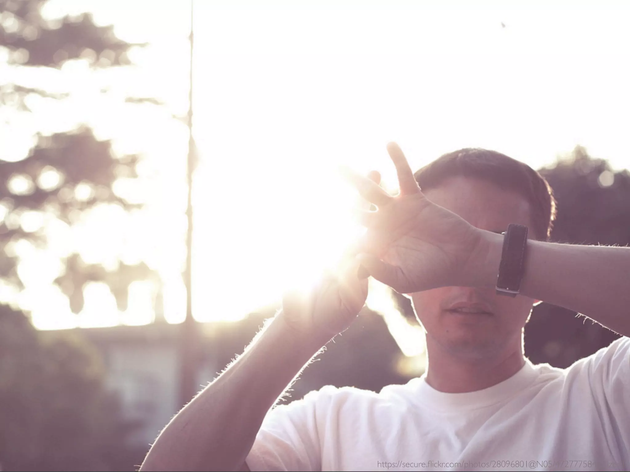 `https://secure.ﬂickr.com/photos/28096801@N05/4727775848/sizes/l/
 