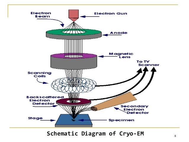 cryo electron microscopy cryo electron microscopy