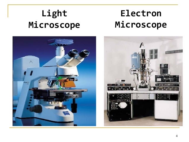 cryo electron microscopy cryo electron microscopy
