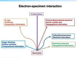 Sample
Primary Backscattered electrons
Atomic number and
Topographical information
Cathodoluminescence
Electrical information
Secondary electrons
Topographical Information
X- rays
Thickness
Composition information
Auger electrons
Surface sensitive
Compositional information
Incident Beam
 