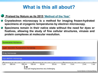 What is this all about?
Praised by Nature as its 2015 ‘Method of the Year’
Cryoelectron microscopy is a method for imaging frozen-hydrated
specimens at cryogenic temperatures by electron microscopy.
Specimens remain in their native state without the need for dyes or
fixatives, allowing the study of fine cellular structures, viruses and
protein complexes at molecular resolution.
 