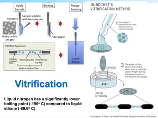Vitrification
Liquid nitrogen has a significantly lower
boiling point (-196o C) compared to liquid
ethane (-88.6o C).
 