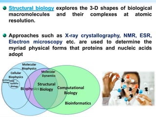 Structural biology explores the 3-D shapes of biological
macromolecules and their complexes at atomic
resolution.
Approaches such as X-ray crystallography, NMR, ESR,
Electron microscopy etc. are used to determine the
myriad physical forms that proteins and nucleic acids
adopt
 