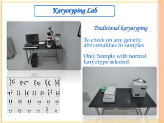 Karyotyping Lab
Traditional karyotyping
To check on any genetic
abnormalities in samples
Only Sample with normal
karyotype selected
Bio-Safety Dept- EmProCell Clinical Research Pvt. Ltd. 14/10/2012
 