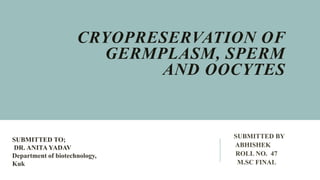 CRYOPRESERVATION OF
GERMPLASM, SPERM
AND OOCYTES
SUBMITTED BY
ABHISHEK
ROLL NO. 47
M.SC FINAL
SUBMITTED TO;
DR. ANITA YADAV
Department of biotechnology,
Kuk
 