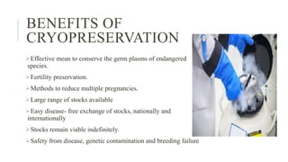 BENEFITS OF
CRYOPRESERVATION
Effective mean to conserve the germ plasms of endangered
species.
Fertility preservation.
Methods to reduce multiple pregnancies.
Large range of stocks available
Easy disease- free exchange of stocks, nationally and
internationally
Stocks remain viable indefinitely.
Safety from disease, genetic contamination and breeding failure
 