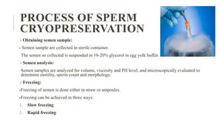 PROCESS OF SPERM
CRYOPRESERVATION
Obtaining semen sample:
- Semen sample are collected in sterile container.
-The semen so collected is suspended in 10-20% glycerol in egg yolk buffer.
Semen analysis:
-Semen samples are analyzed for volume, viscosity and PH level, and microscopically evaluated to
determine motility, sperm count and morphology.
Freezing:
-Freezing of semen is done either in straw or ampoules.
-Freezing can be achieved in three ways:
1. Slow freezing
2. Rapid freezing
 